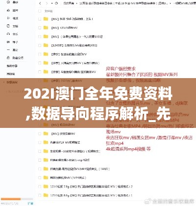 202I澳門全年免費資料,數(shù)據(jù)導(dǎo)向程序解析_先鋒版DTU5.54