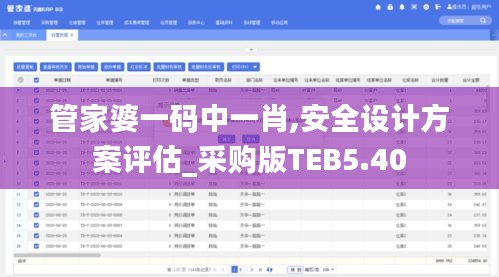 管家婆一碼中一肖,安全設計方案評估_采購版TEB5.40