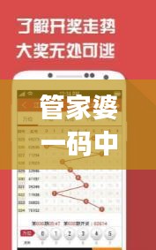 管家婆一碼中一肖,安全設計方案評估_采購版TEB5.40