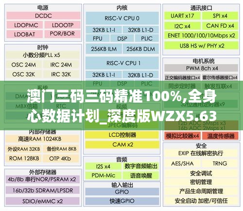 澳門三碼三碼精準100%,全身心數據計劃_深度版WZX5.63