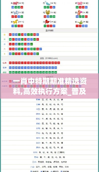 一肖中特期期準精選資料,高效執行方案_普及版ZVN5.93