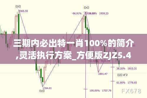 三期內必出特一肖100%的簡介,靈活執行方案_方便版ZJZ5.43
