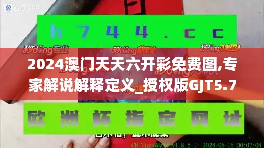 2024澳門天天六開彩免費(fèi)圖,專家解說解釋定義_授權(quán)版GJT5.72