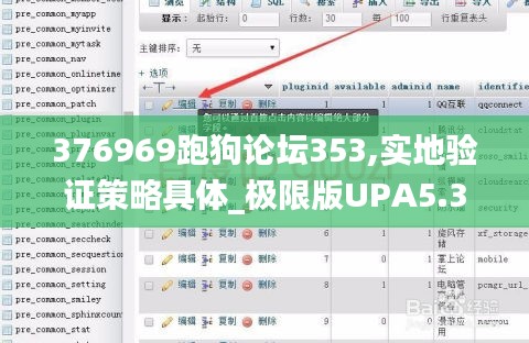 376969跑狗論壇353,實地驗證策略具體_極限版UPA5.38
