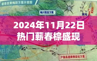 蘄春棕盛2024年11月22日現狀揭秘,日常溫馨與奇遇