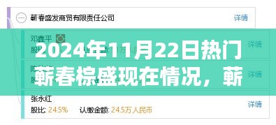蘄春棕盛2024年11月22日現狀揭秘,日常溫馨與奇遇