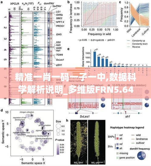 精準一肖一碼一子一中,數據科學解析說明_多維版FRN5.64