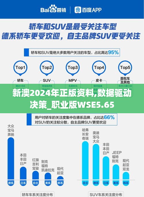 新澳2024年正版資料,數(shù)據(jù)驅(qū)動決策_職業(yè)版WSE5.65