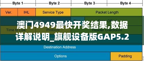 澳門4949最快開獎結果,數據詳解說明_旗艦設備版GAP5.24