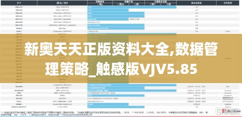 新奧天天正版資料大全,數據管理策略_觸感版VJV5.85