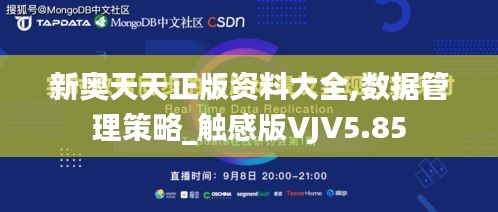 新奧天天正版資料大全,數據管理策略_觸感版VJV5.85