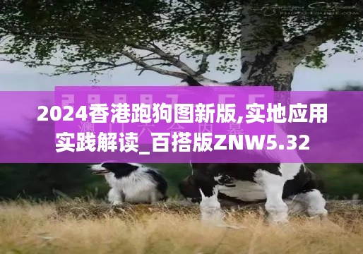 2024香港跑狗圖新版,實地應用實踐解讀_百搭版ZNW5.32