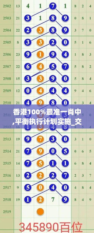 香港100%最準一肖中,平衡執行計劃實施_交互式版JRQ5.11