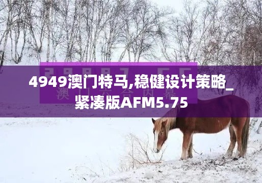 4949澳門特馬,穩(wěn)健設計策略_緊湊版AFM5.75