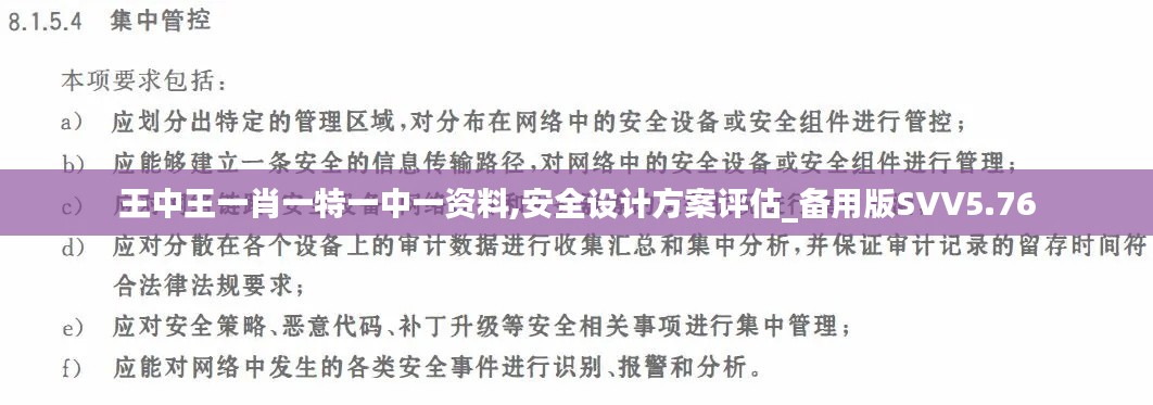 王中王一肖一特一中一資料,安全設(shè)計(jì)方案評估_備用版SVV5.76