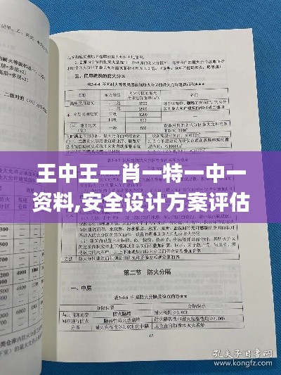 王中王一肖一特一中一資料,安全設(shè)計(jì)方案評(píng)估_備用版SVV5.76