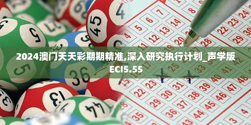 2024澳門天天彩期期精準,深入研究執行計劃_聲學版ECI5.55