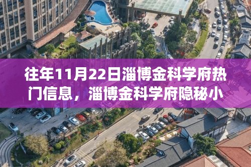 獨家探秘之旅,淄博金科學府隱秘小巷的美食秘境揭秘(往年11月22日)