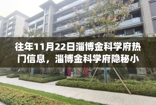 獨(dú)家探秘之旅,淄博金科學(xué)府隱秘小巷的美食秘境揭秘(往年11月22日)