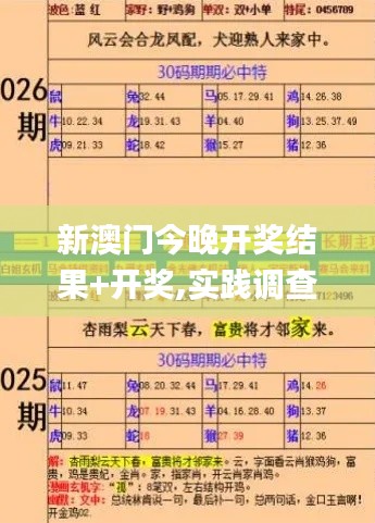 新澳門今晚開獎結果+開獎,實踐調查說明_隨身版MYK5.82