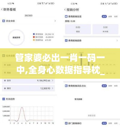 管家婆必出一肖一碼一中,全身心數據指導枕_旅行版TUQ5.34