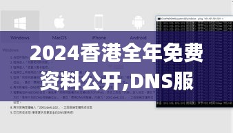 2024香港全年免費(fèi)資料公開,DNS服務(wù)_兼容版NYN5.82