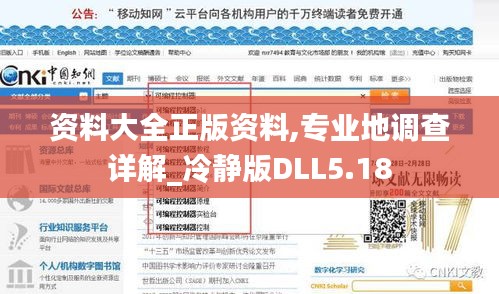 資料大全正版資料,專業地調查詳解_冷靜版DLL5.18