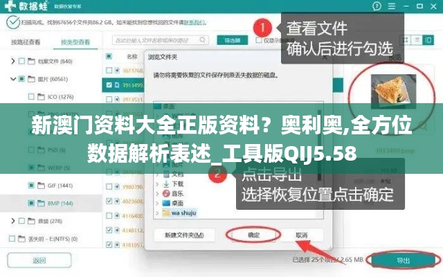 新澳門資料大全正版資料？奧利奧,全方位數(shù)據(jù)解析表述_工具版QIJ5.58
