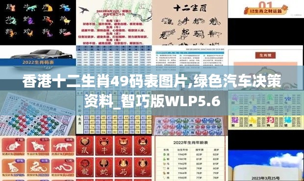 香港十二生肖49碼表圖片,綠色汽車決策資料_智巧版WLP5.6
