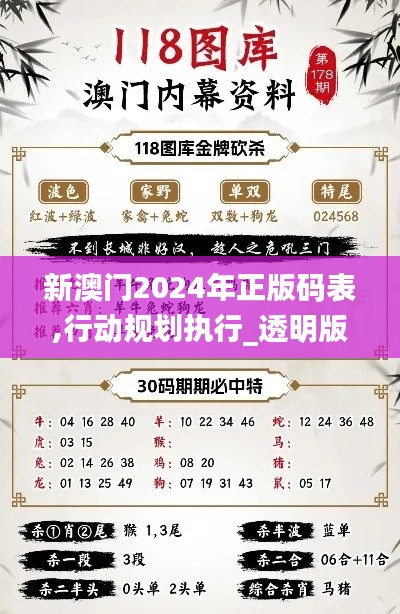 新澳門2024年正版碼表,行動規(guī)劃執(zhí)行_透明版VNK5.45