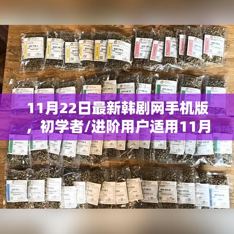 11月22日最新韓劇網手機版使用指南,從初學者到進階用戶全攻略