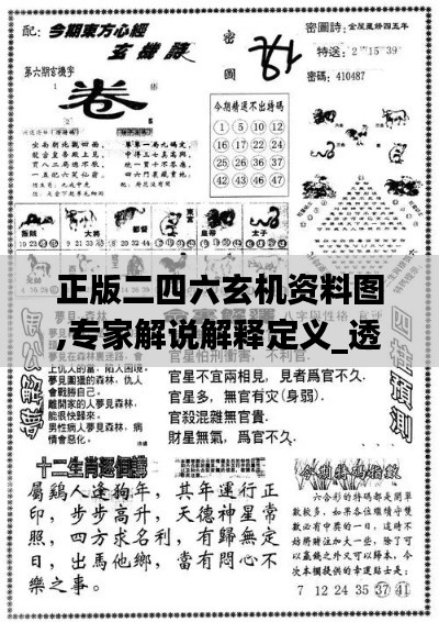 正版二四六玄機資料圖,專家解說解釋定義_透明版MYA5.84