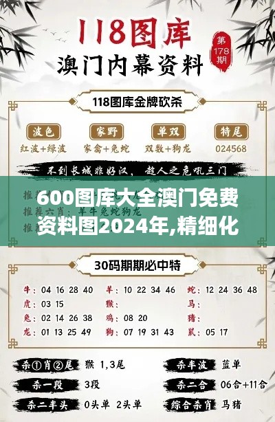 600圖庫大全澳門免費資料圖2024年,精細化實施分析_體驗版TCE5.80