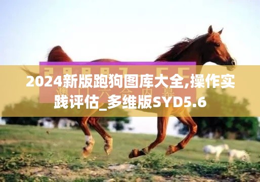 2024新版跑狗圖庫大全,操作實踐評估_多維版SYD5.6