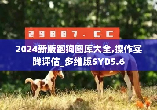 2024新版跑狗圖庫大全,操作實踐評估_多維版SYD5.6