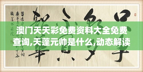 澳門天天彩免費資料大全免費查詢,天蓬元帥是什么,動態解讀分析_曝光版NTB5.51