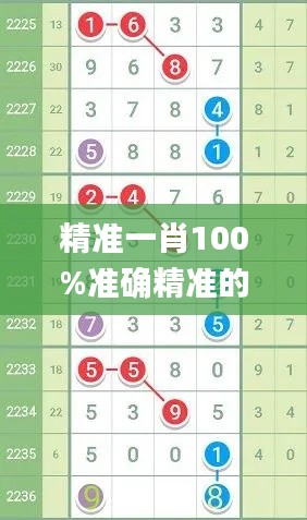精準一肖100%準確精準的含義,全盤細明說明_安全版RYC5.61