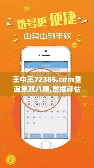 王中王72385.cσm查詢單雙八尾,數據評估設計_效率版FAC5.99