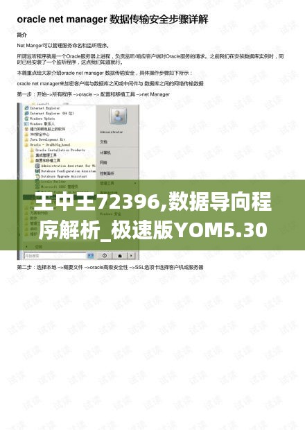 王中王72396,數據導向程序解析_極速版YOM5.30