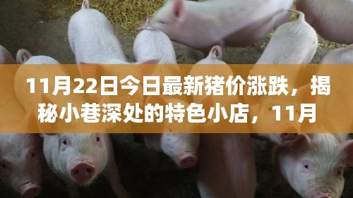 11月22日今日最新豬價(jià)漲跌,揭秘小巷深處的特色小店,11月22日最新豬價(jià)漲跌背后的故事