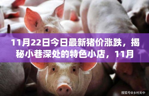 11月22日今日最新豬價(jià)漲跌,揭秘小巷深處的特色小店,11月22日最新豬價(jià)漲跌背后的故事