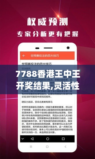 7788香港王中王開獎(jiǎng)結(jié)果,靈活性執(zhí)行方案_結(jié)合版UUI5.37