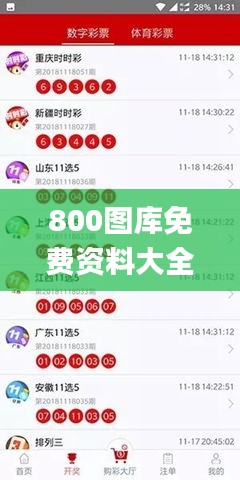 800圖庫免費資料大全,直播全面解答是什么軟件_夢想版FSX5.20
