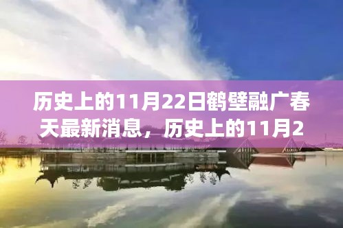 歷史上的11月22日鶴壁融廣春天最新動態(tài),深度解讀與觀點(diǎn)闡述