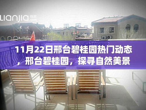 邢臺碧桂園,探尋自然美景的心靈寧靜之旅(11月22日熱門動態)