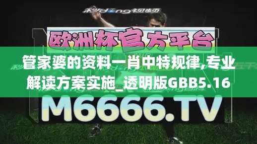 管家婆的資料一肖中特規律,專業解讀方案實施_透明版GBB5.16