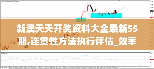 新澳天天開獎資料大全最新55期,連貫性方法執行評估_效率版PHH5.25