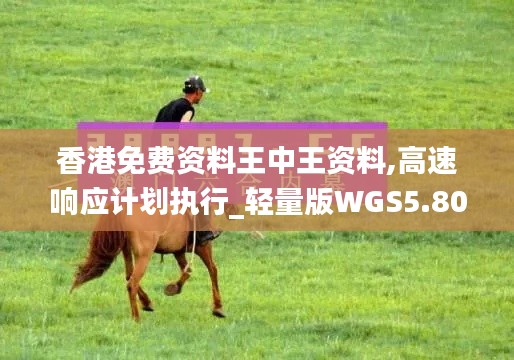 香港免費資料王中王資料,高速響應計劃執行_輕量版WGS5.80