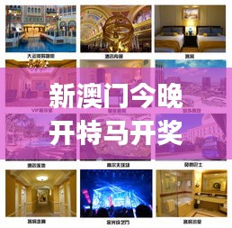 新澳門今晚開特馬開獎,高效性設計規劃_家居版DON5.14