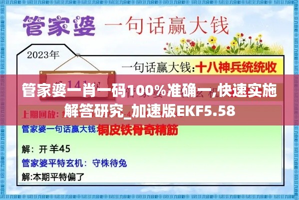 管家婆一肖一碼100%準確一,快速實施解答研究_加速版EKF5.58